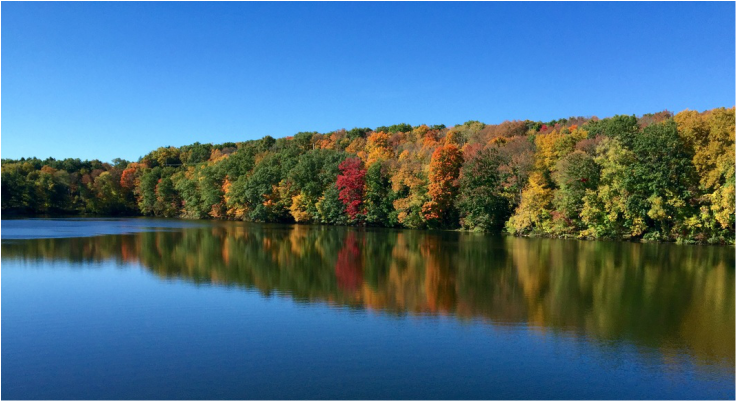 Autumn on the Amawalk Reservoir by Michael Ferrara
