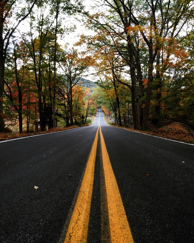 Autumn Road in the Hudson Valley by Shane Cashman